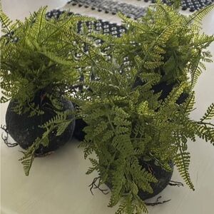 3 Artificial Fern Plant in Black Pot